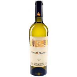 Budureasca Vine in Flames Daphix