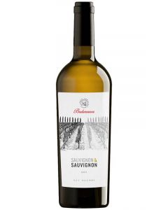 Budureasca Sauvignon & Sauvignon