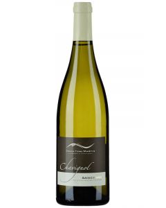 Domaine Martin Chavignol Blanc