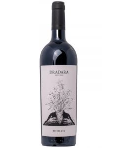 Dradara Merlot Editie Limitata