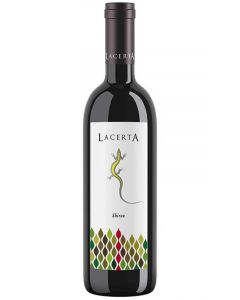 Lacerta Shiraz