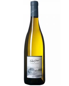 Pascal Jolivet Sancerre Blanc