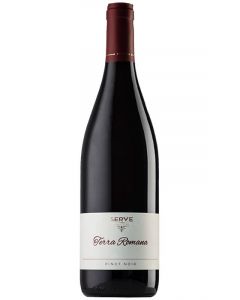 SERVE Terra Romana Pinot Noir