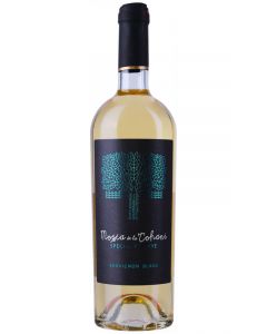 Tohani Romania Mosia de la Tohani Sauvignon Blanc Special Reserve