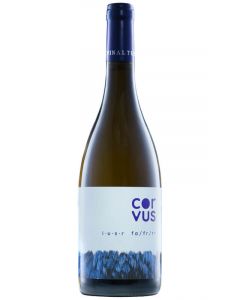 Vinaltus Corvus Alb