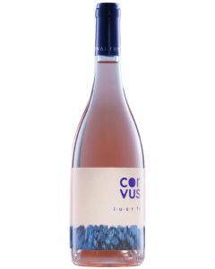 Vinaltus Corvus Rose