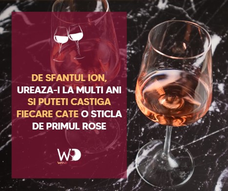 Regulamentul Oficial al Campaniei "Un Ion? Doi Ioni? Nenumărate vinuri de băut împreună!" (02 - 08 ianuarie 2023)